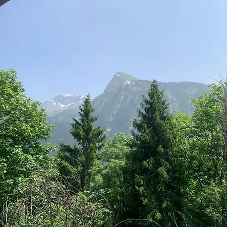 Mazot Hirondelle Morzine