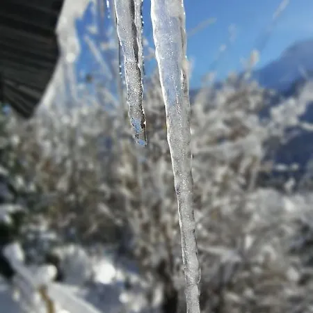 Mazot Hirondelle Chalet