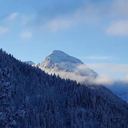 Chalet Mazot Hirondelle *